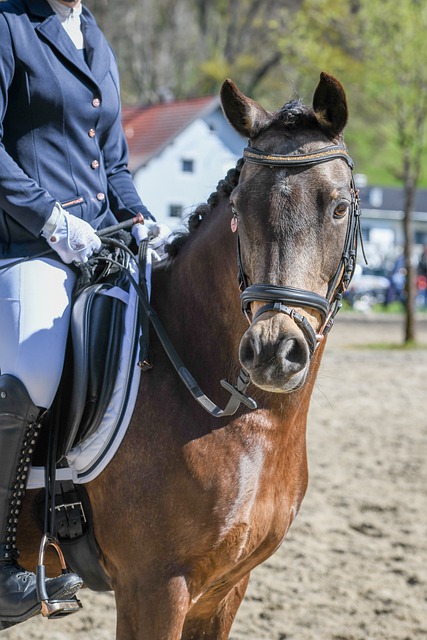 武里南联主帅：我们研究了海港的打法特点，已经做好了准备