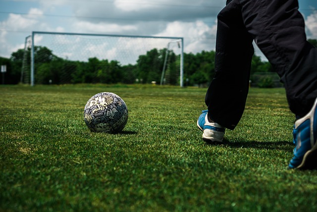 篮球篮网球队训练赛完成